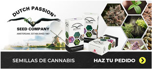 Semillas de Cannabis Dutch Passion