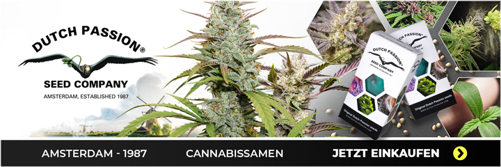 Dutch Passion Cannabissamen