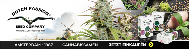 Dutch Passion Cannabissamen