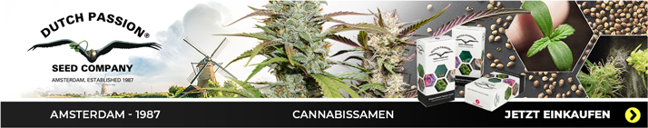 Dutch Passion Cannabissamen