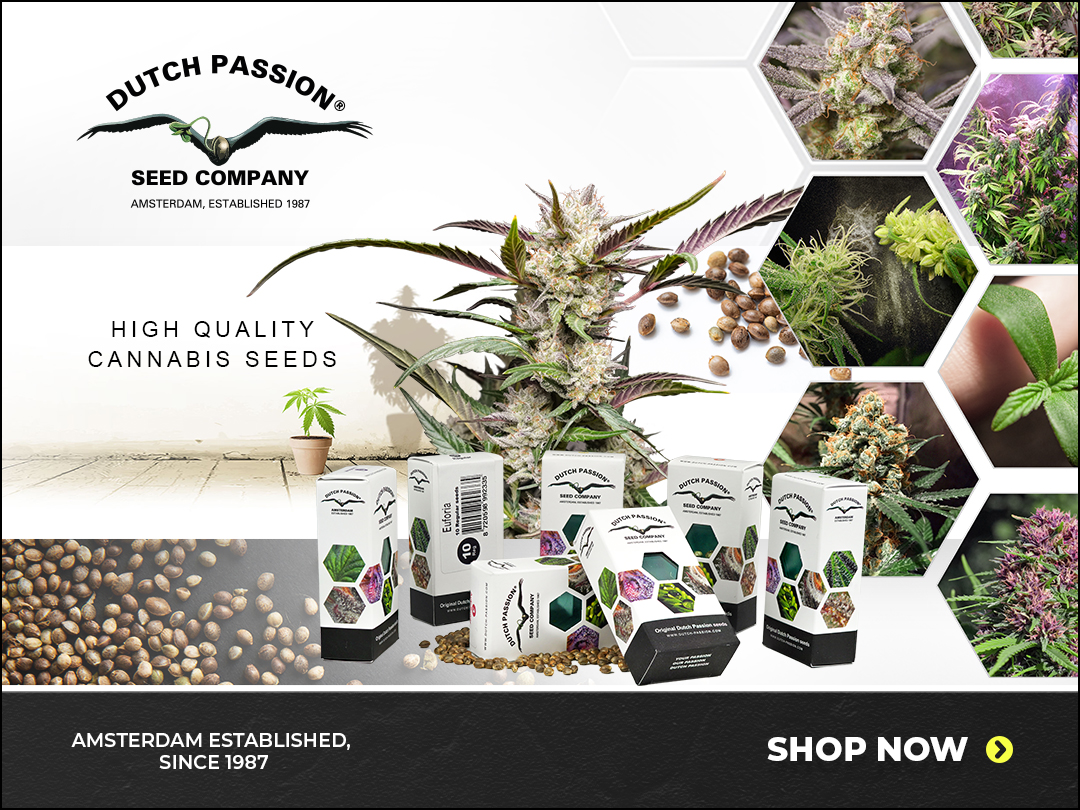 Dutch Passion Cannabis Seeds