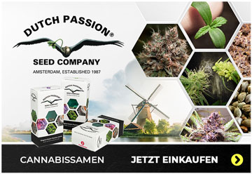 Dutch Passion Cannabissamen