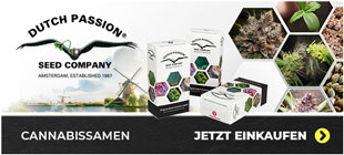 Dutch Passion Cannabissamen